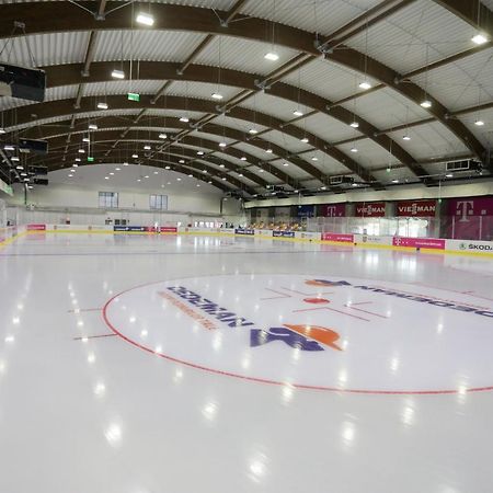 Casuta Bradulet - Aeroport Otopeni & Therme Balotesti Extérieur photo